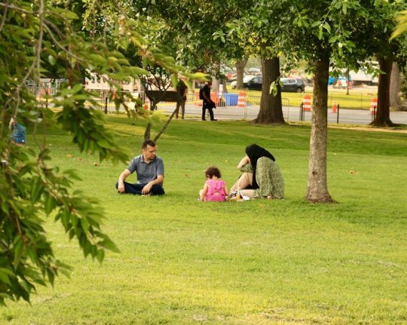 Family enjoys a relaxing day at the park.
